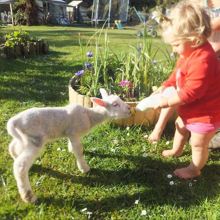 Little Paradise & Petting Farm Greymouth Ngoại thất bức ảnh