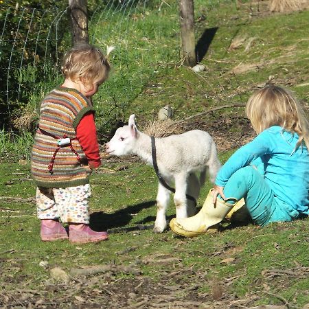 Little Paradise & Petting Farm Greymouth Ngoại thất bức ảnh