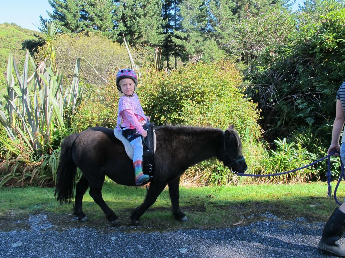 Little Paradise & Petting Farm Greymouth Ngoại thất bức ảnh