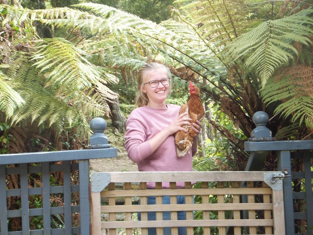 Little Paradise & Petting Farm Greymouth Ngoại thất bức ảnh