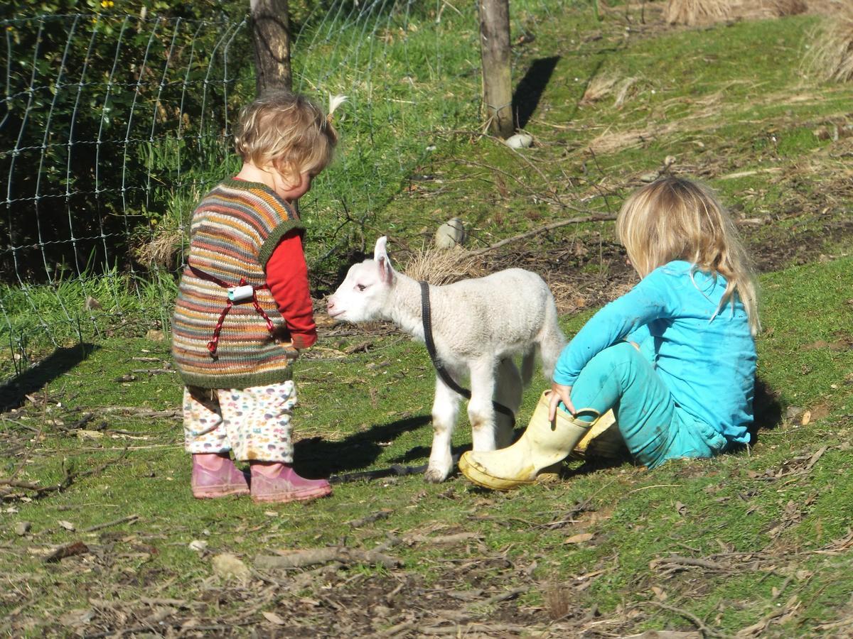 Little Paradise & Petting Farm Greymouth Ngoại thất bức ảnh